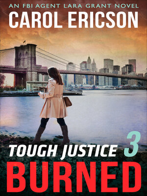 Tough Justice 3 - ebook